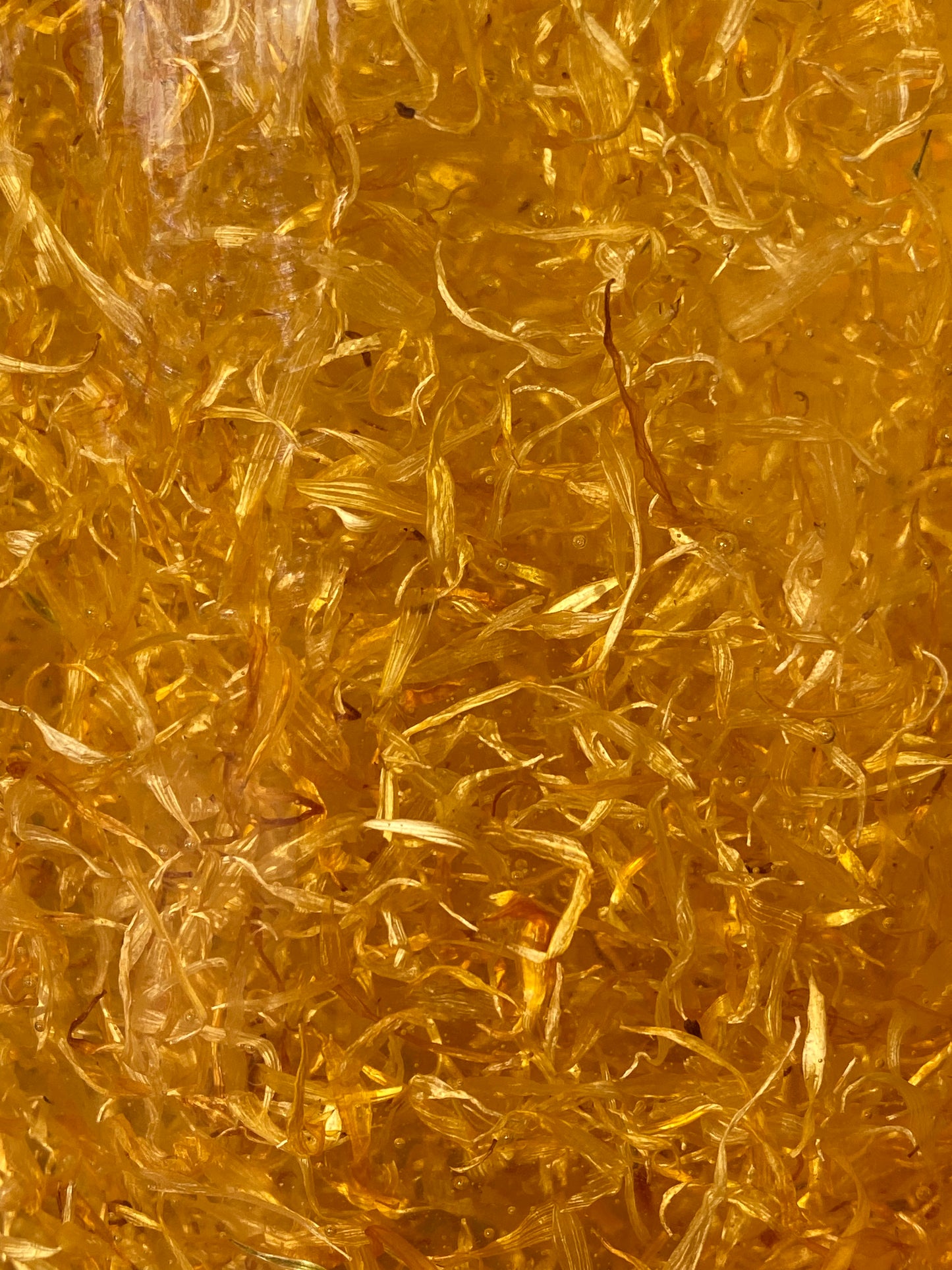 Calendula Infused Oil